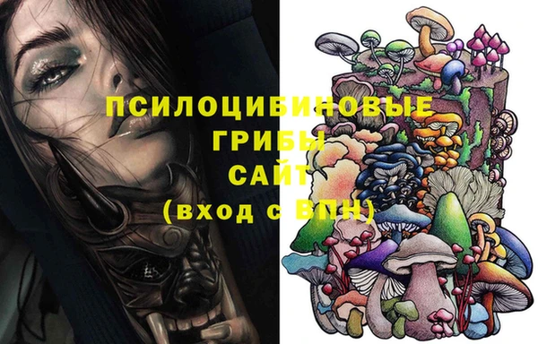 прущие крисы Богородицк