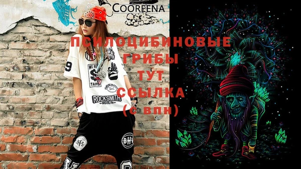 прущие крисы Богородицк