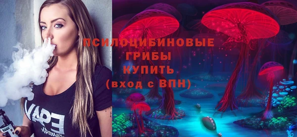 МДПВ Богданович