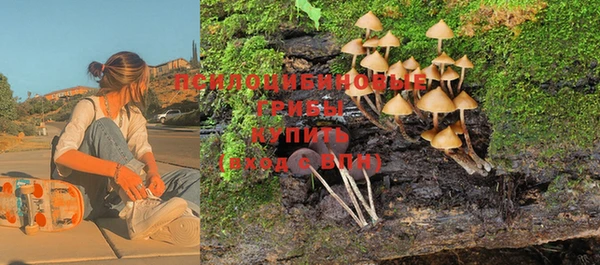 прущие крисы Богородицк
